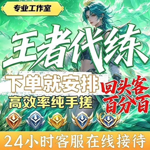 王者荣耀代打代练上星上分英雄战力大小国省标巅峰赛排位陪玩包时