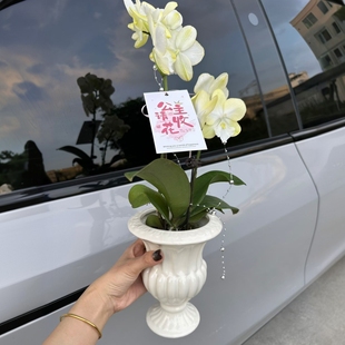 法式古典气质高级感大口径北欧高脚陶瓷花瓶蝴蝶兰鲜花客厅摆件