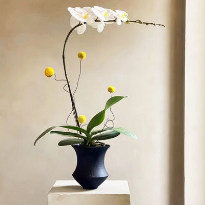 北欧ins风陶瓷花盆家用客厅摆件花盆多肉绿萝蝴蝶兰红掌白掌花器