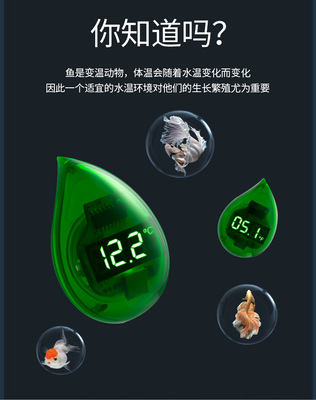 数显温度计电子式高精度测温精准