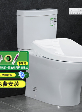 TOTO智能马桶CW982EB TCF3M460即热家用小户型直冲除菌坐便器(02)