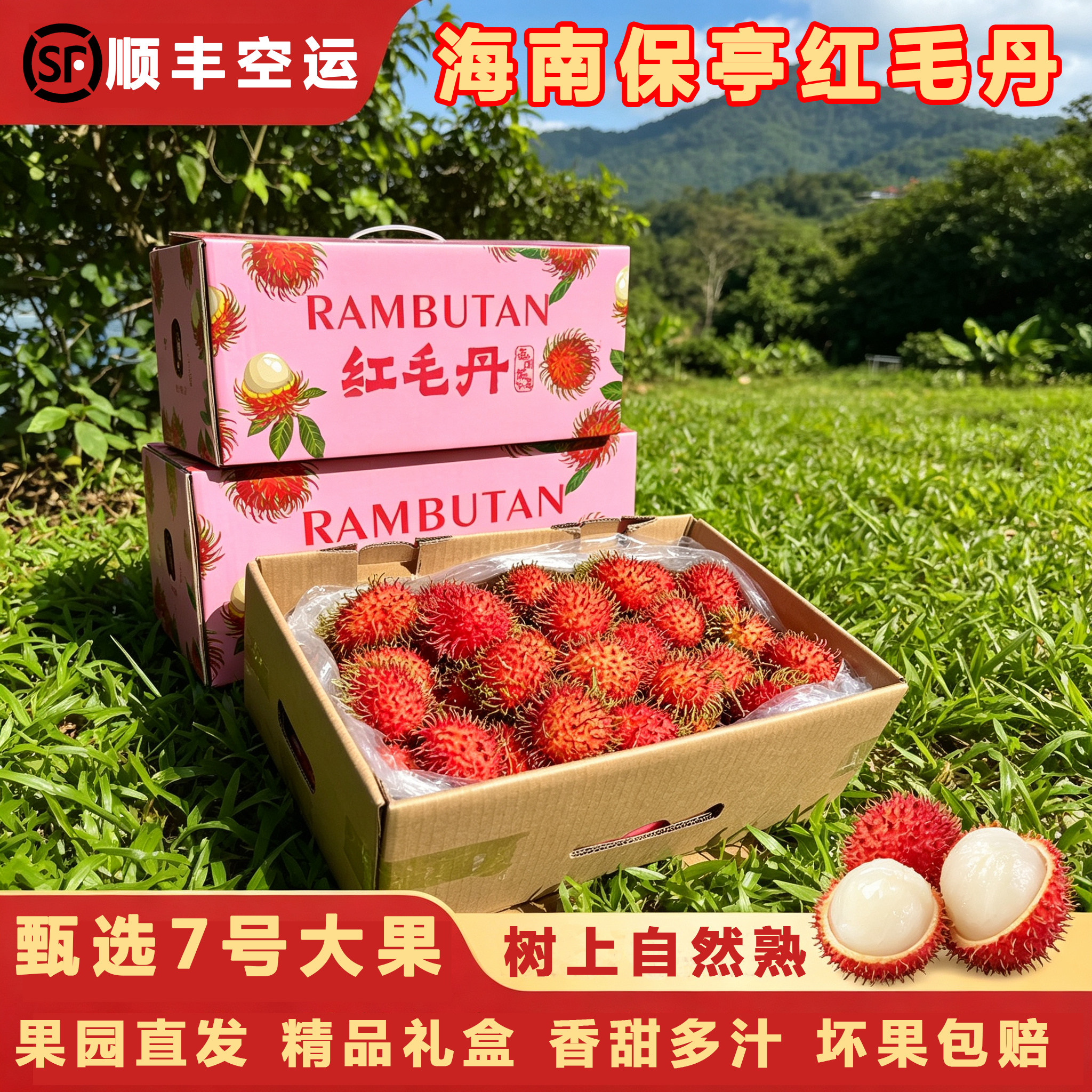海南保亭红毛丹新鲜水果5斤精选正宗当季毛荔枝热带孕妇水果包邮