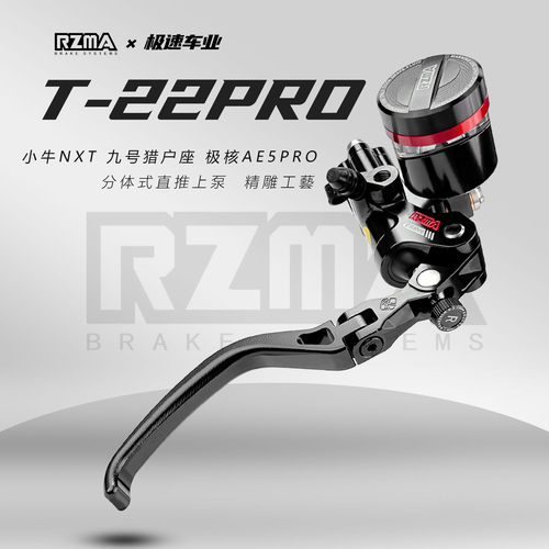 瑞祖玛T22Pro直推改装九号猎户座