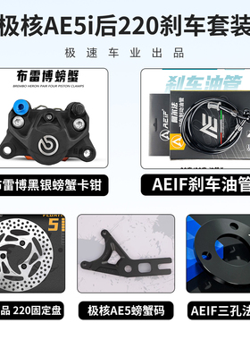 布雷博螃蟹卡钳适用九号M395C M95 MZ 机2 E300P 极核AE5后刹车