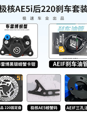 布雷博螃蟹卡钳适用九号/极核
