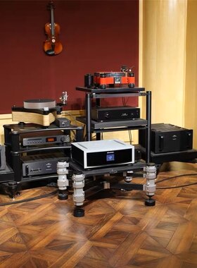 Dynaudio/丹拿 Evoke 重现30 20 10 25C发烧HIFI落地音箱书架音箱