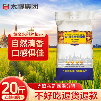茉莉香米煮饭煮粥香软米