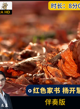 红色家书杨开慧 爱国朗诵微故事诗词朗诵演讲舞台LED背景视频