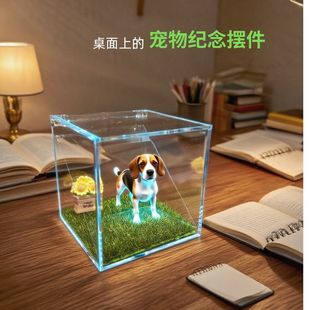 宠物全息数字屋电子宠物智能伴侣数字纪念品全息投影像爱宠摆件定