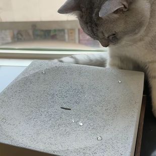 水滴逗猫器水珠逗猫器饮水机滴水与时间的流动流水景摆件逗猫神器