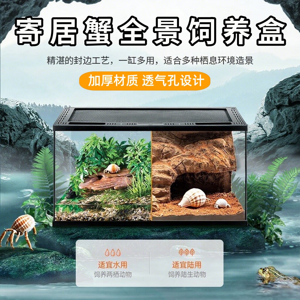 寄居蟹饲养盒子躲避屋养图片