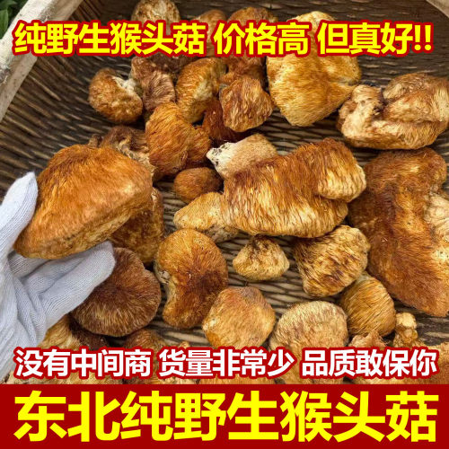 东北特产正宗野生猴头菇干货