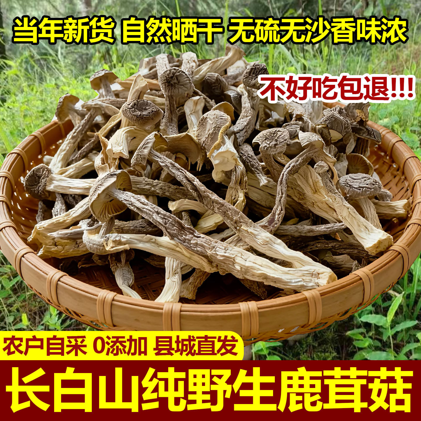 东北特产野生鹿茸菇特级高山长白山鹿茸菇干货营养脆嫩非云南菌菇