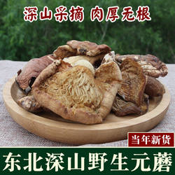 纯东北野生元蘑长白山冻蘑菇干货新货肉厚无根菌菇小鸡炖蘑菇