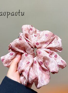 森系超仙大肠发圈网纱刺绣碎花清新甜美韩系复古气质头绳发饰女