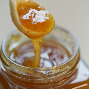 若谷家集|何田田 青梅酱纯青梅熬制酸甜可口略带咸味调水调味蘸料