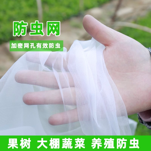 农用加厚加密防虫网防鸟抗老化