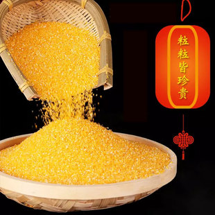 汤原县宝山大哥黄玉米碴东北玉米碎小碴子玉米粥玉米糁