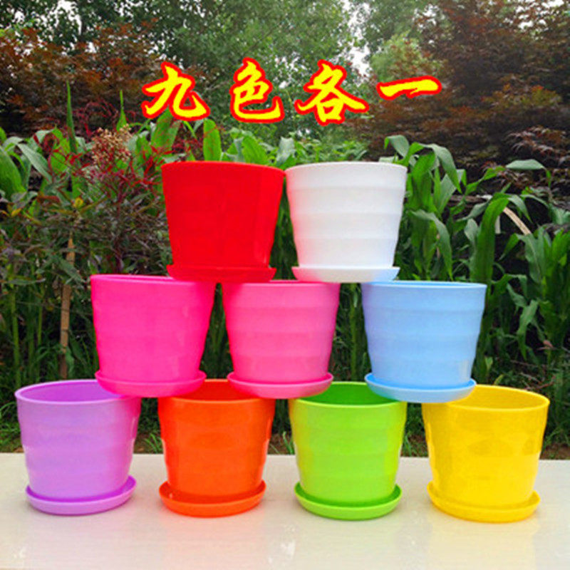 多肉花盆室内简约彩色塑料花盆月季加厚朔料大号圆形花盘带托盘,鲜花速递/花卉仿真/绿植园艺,花盆,淘宝优惠券,粉丝福利购,淘宝优惠卷