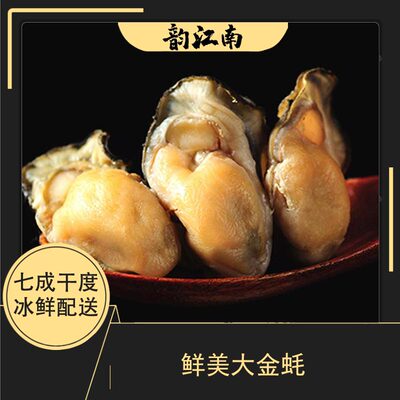 20头大蚝干生蚝干牡蛎海鲜干货鲜美香煎大个无抽油干金蚝冰鲜发货