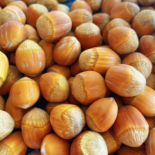 长白山野生榛子500克包邮