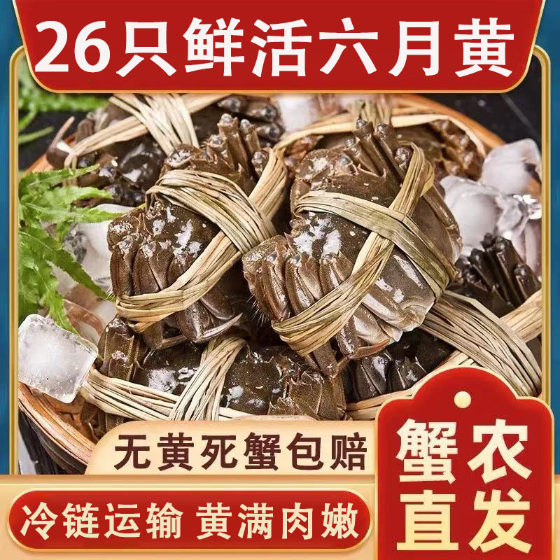洪泽湖六月黄螃蟹大闸蟹