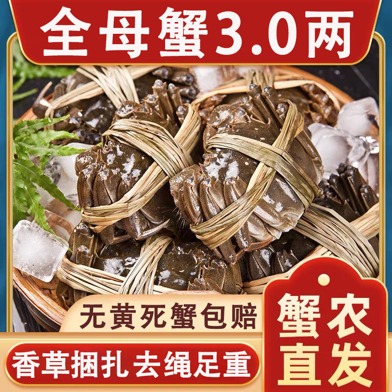 鲜活满黄洪泽湖大闸蟹礼盒装
