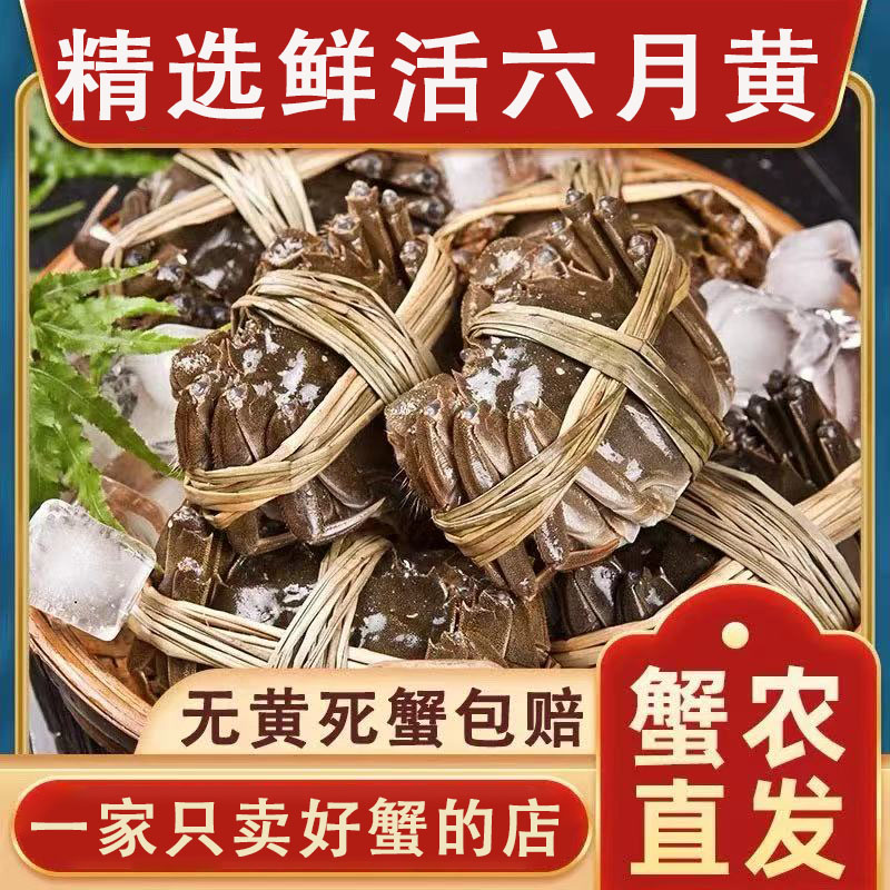 洪泽湖大闸蟹鲜活螃蟹足斤足两