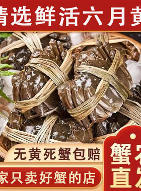洪泽湖大闸蟹鲜活螃蟹足斤足两