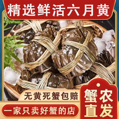 洪泽湖大闸蟹鲜活螃蟹足斤足两