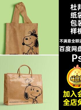 杜邦纸袋包装样机购物袋帆布包11款VIPs手提袋psd效果牛皮PVC11款