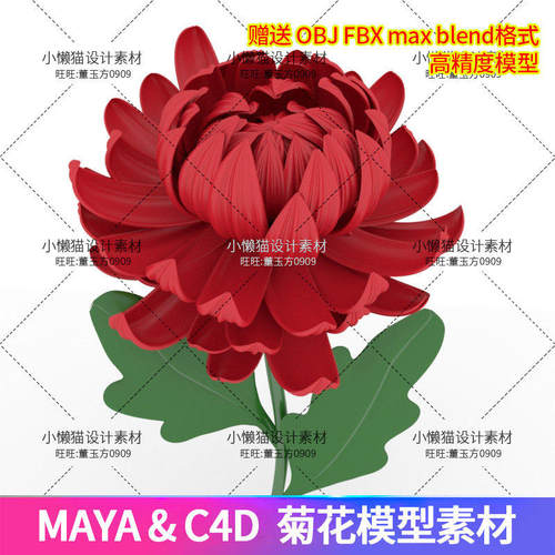 花卉菊花模型Maya1个maxc素材fbxobj鲜花blen