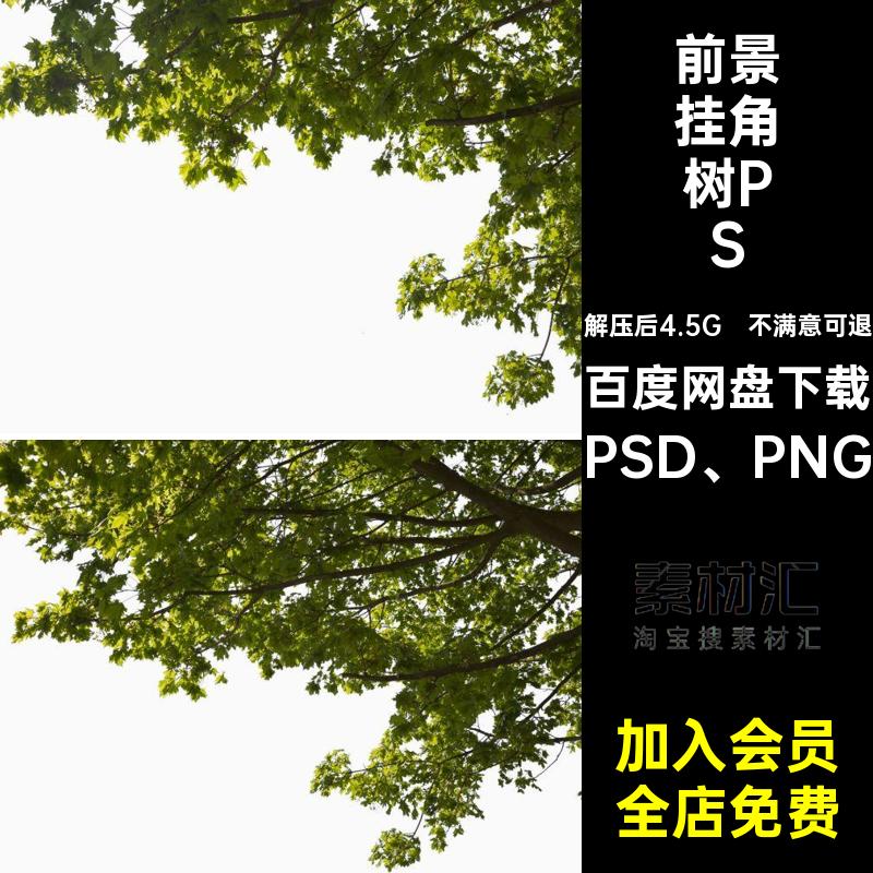 建筑挂角树PS素材配景后期植物pngPSD效果图园林景观贴图前景免抠