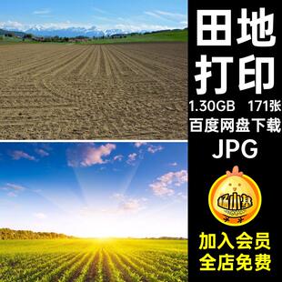 171张田地图片JPG设计田野喷绘自然风景耕地田野图片耕田素材打印