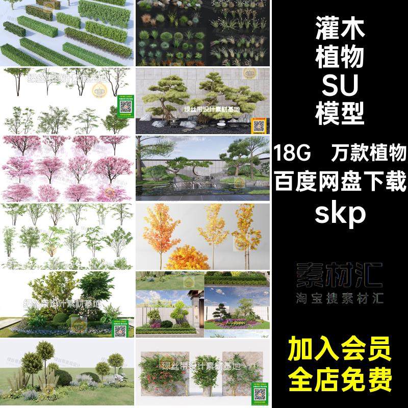 花草植物SU模型skp花境三维灌木乔木组合地被3D庭院花卉园林景观