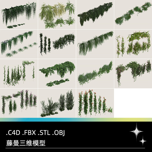 猕猴桃三维模型相思树狐枣曼天门冬多花C4DC4D.FBX.STL.OBJ花叶