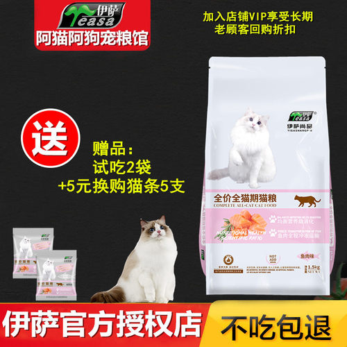 伊萨增肥发腮天然美短幼猫
