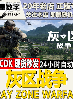Steam正版国区KEY 灰区战争 Gray Zone Warfare 激活码CDKEY现货