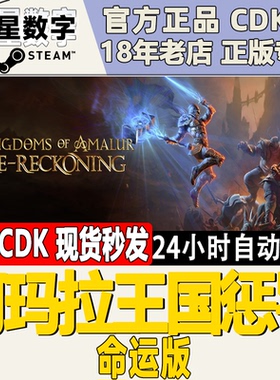 Steam正版国区KEY 阿玛拉王国惩罚 重制版Kingdoms of Amalur现货