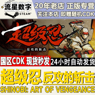 反攻 斩击 SHINOBI Steam正版 超级忍 Art Vengeance 国区KEY