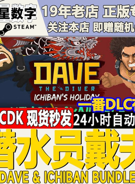 Steam正版国区KEY 潜水员戴夫DAVE THE DIVER 一番的休日DLC CDK