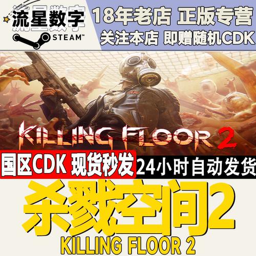 Steam杀戮空间2国区KEY现货