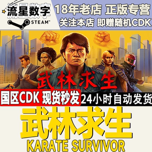 Steam正版国区KEY 武林求生 Karate Survivor 激活码CDKEY现货