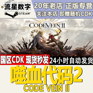 Steam正版国区KEY嗜血代码2 CODE VEIN  II 激活码CDKEY现货