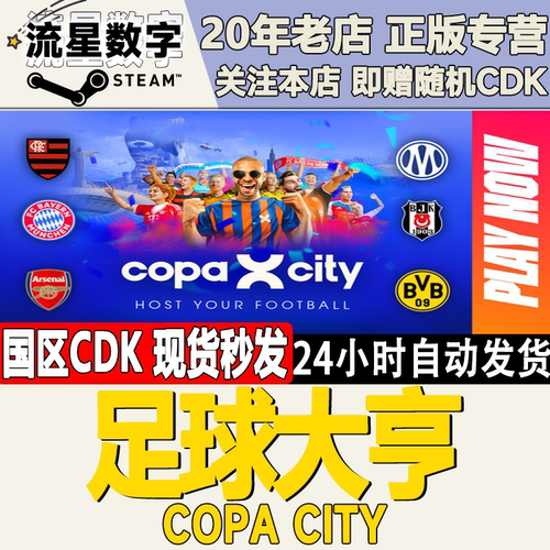 足球大亨COPACITY激活码CDK