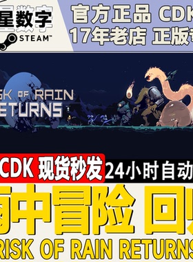 Steam正版国区 雨中冒险 回归 Risk of Rain Returns 激活码CDKEY