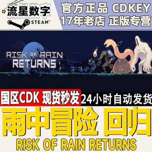 回归 Risk 激活码 国区 CDKEY Returns 雨中冒险 Rain Steam正版