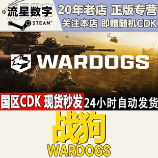 Steam正版国区KEY 战狗  WARDOGS 激活码CDKEY现货