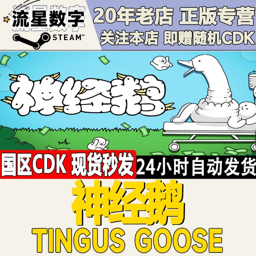 神经鹅TingusGoose激活码CDK