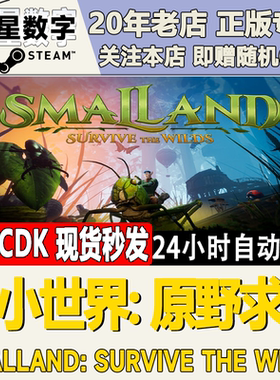 Steam正版国区KEY 小小世界: 原野求生 Smalland激活码CDKEY现货
